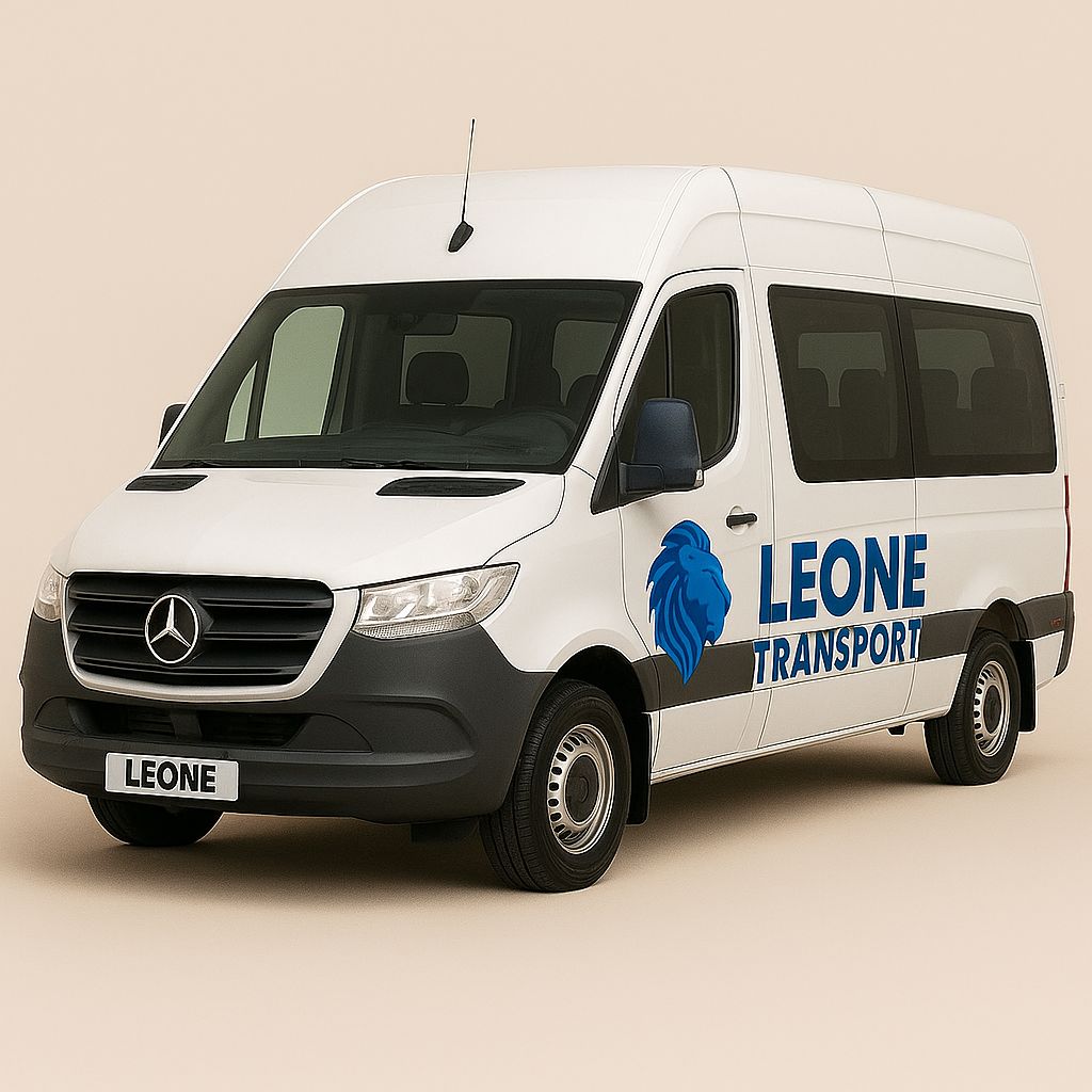 Leone TRANSPORT - Reduceri pentru Membri